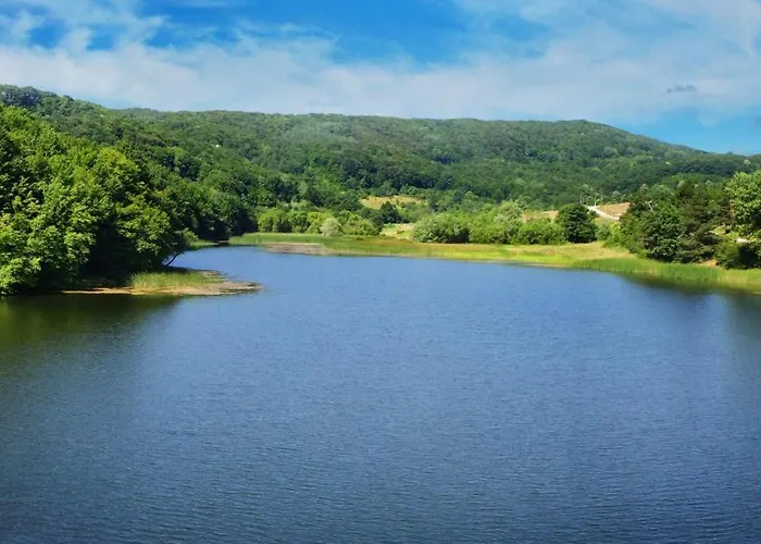 Complex Harmony/комплекс хармония Tryavna